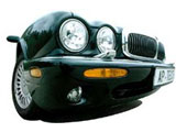 «Чистопородный JAGUAR»